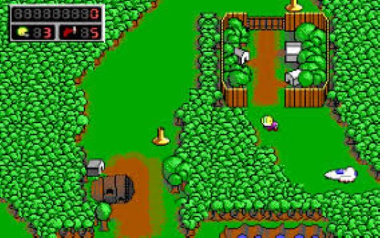 Gameplay screen of Commander Keen 4: Secret of the Oracle (6/8)