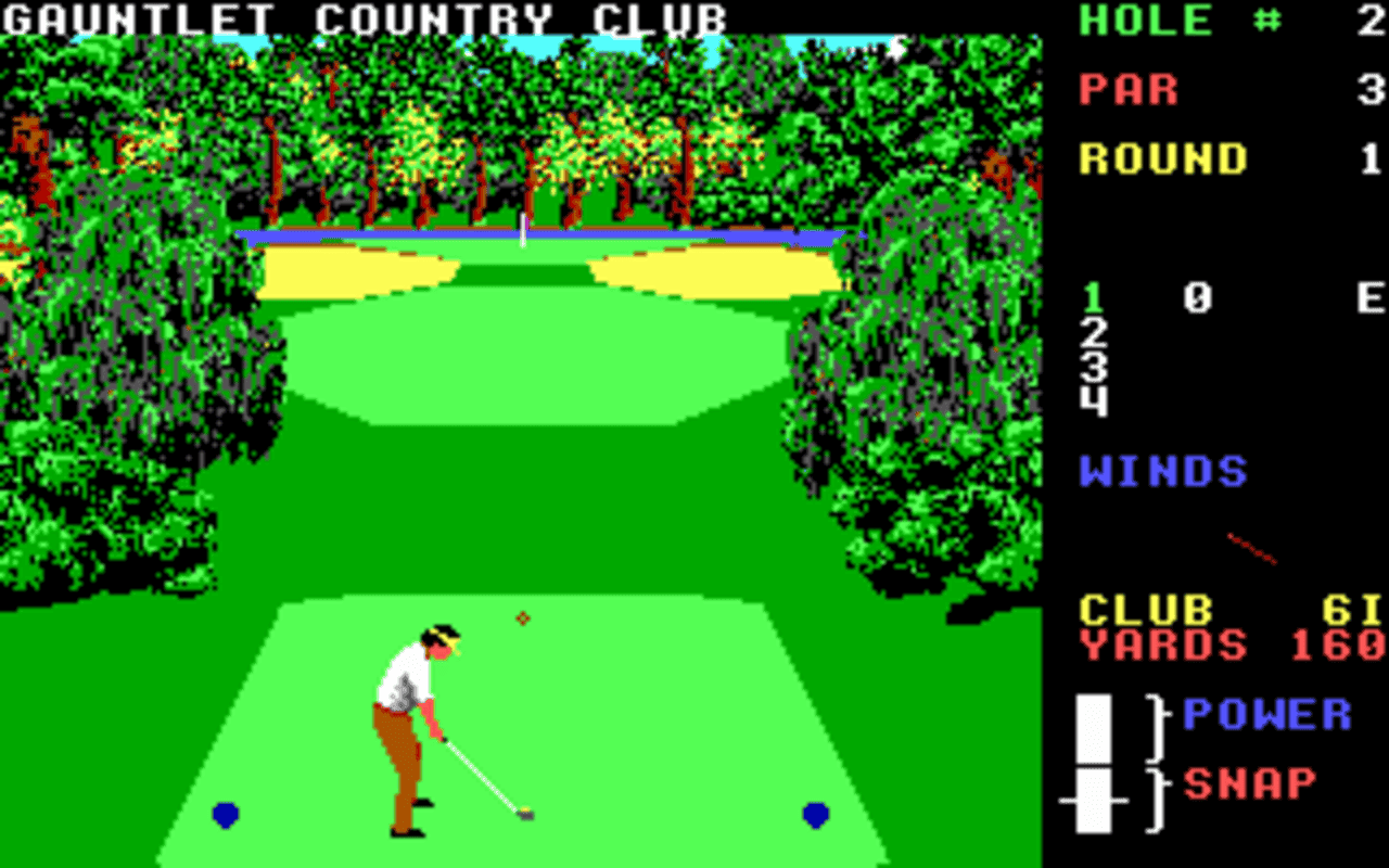 Gameplay screen of World Class Leader Board (8/8)