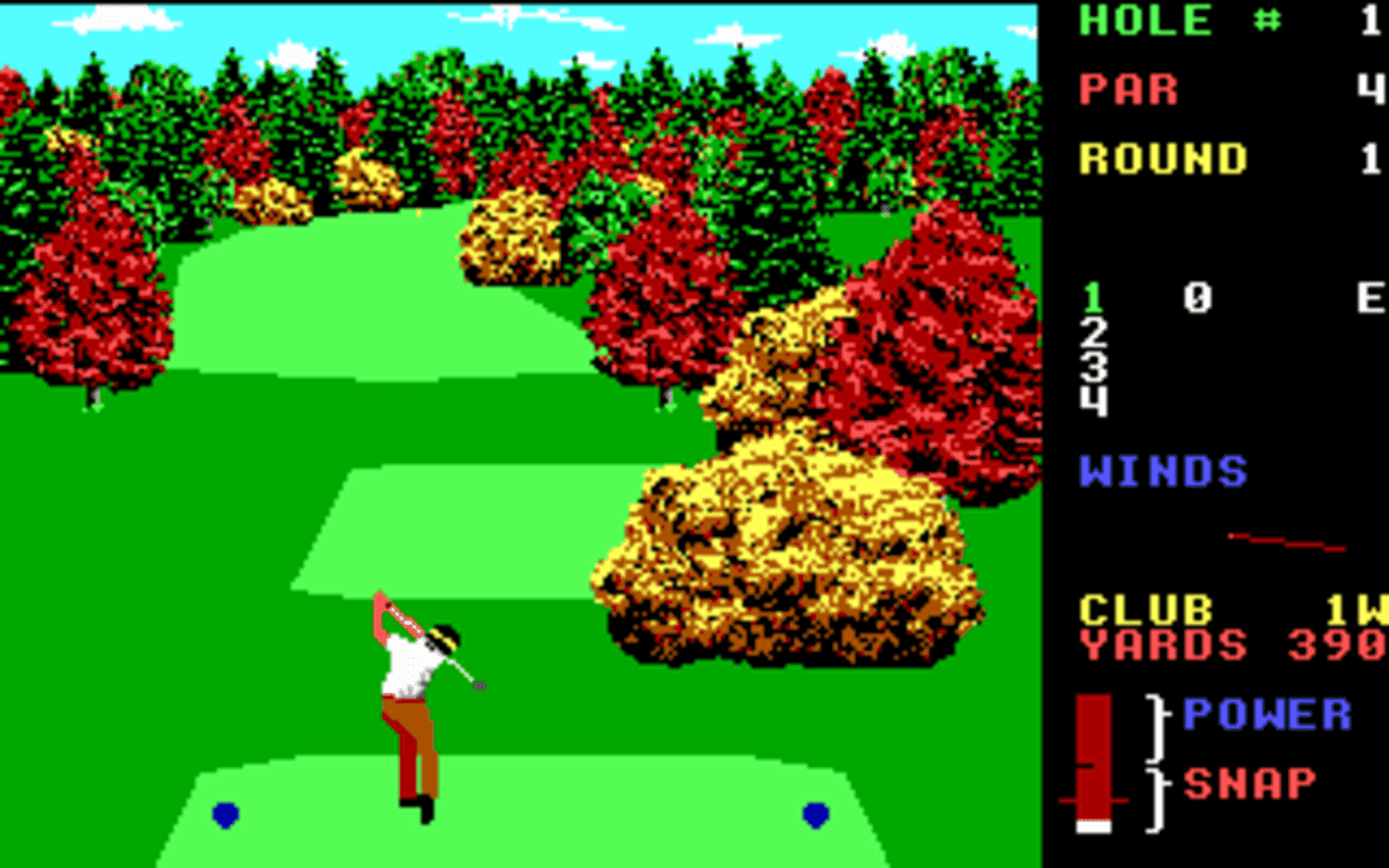 Gameplay screen of World Class Leader Board (3/8)