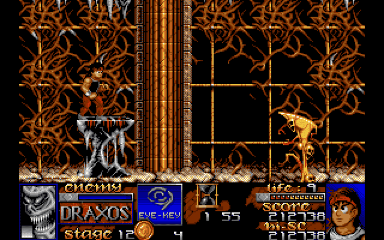 Gameplay screen of Risky Woods (7/8)