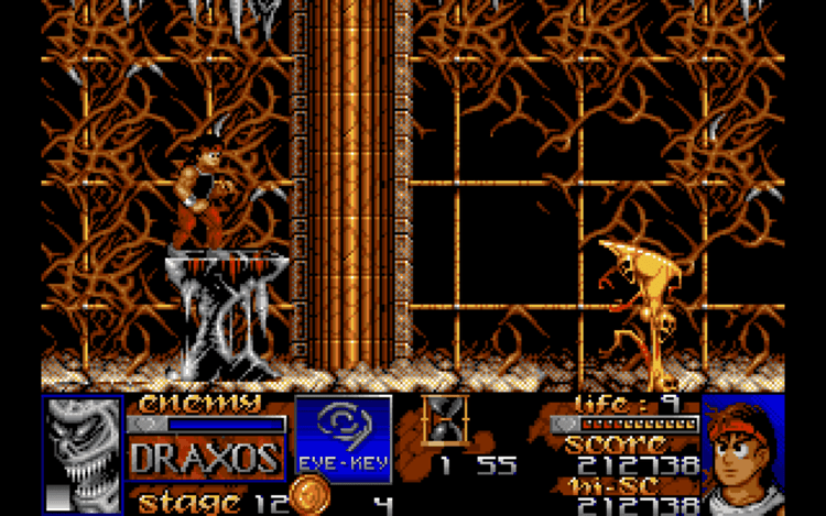 Gameplay screen of Risky Woods (7/8)
