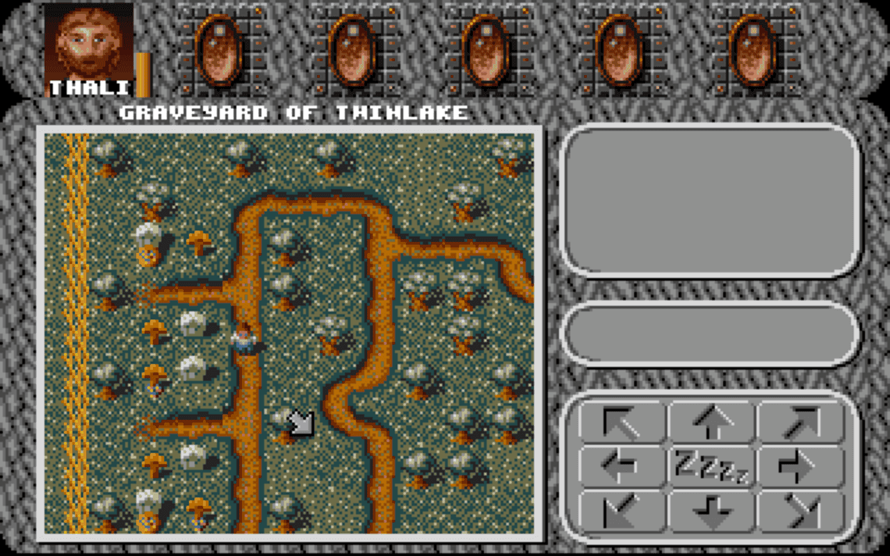 Gameplay screen of Amberstar (1/8)