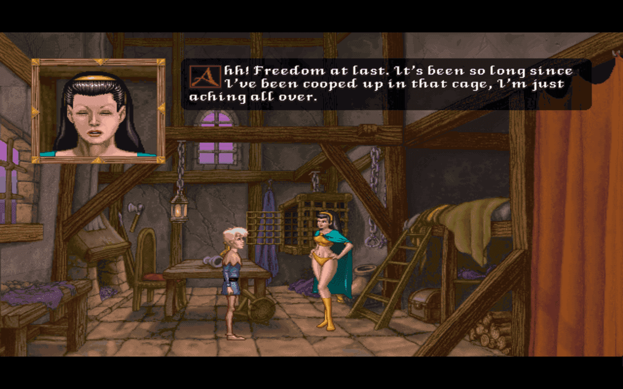 Gameplay screen of Fable (6/7)