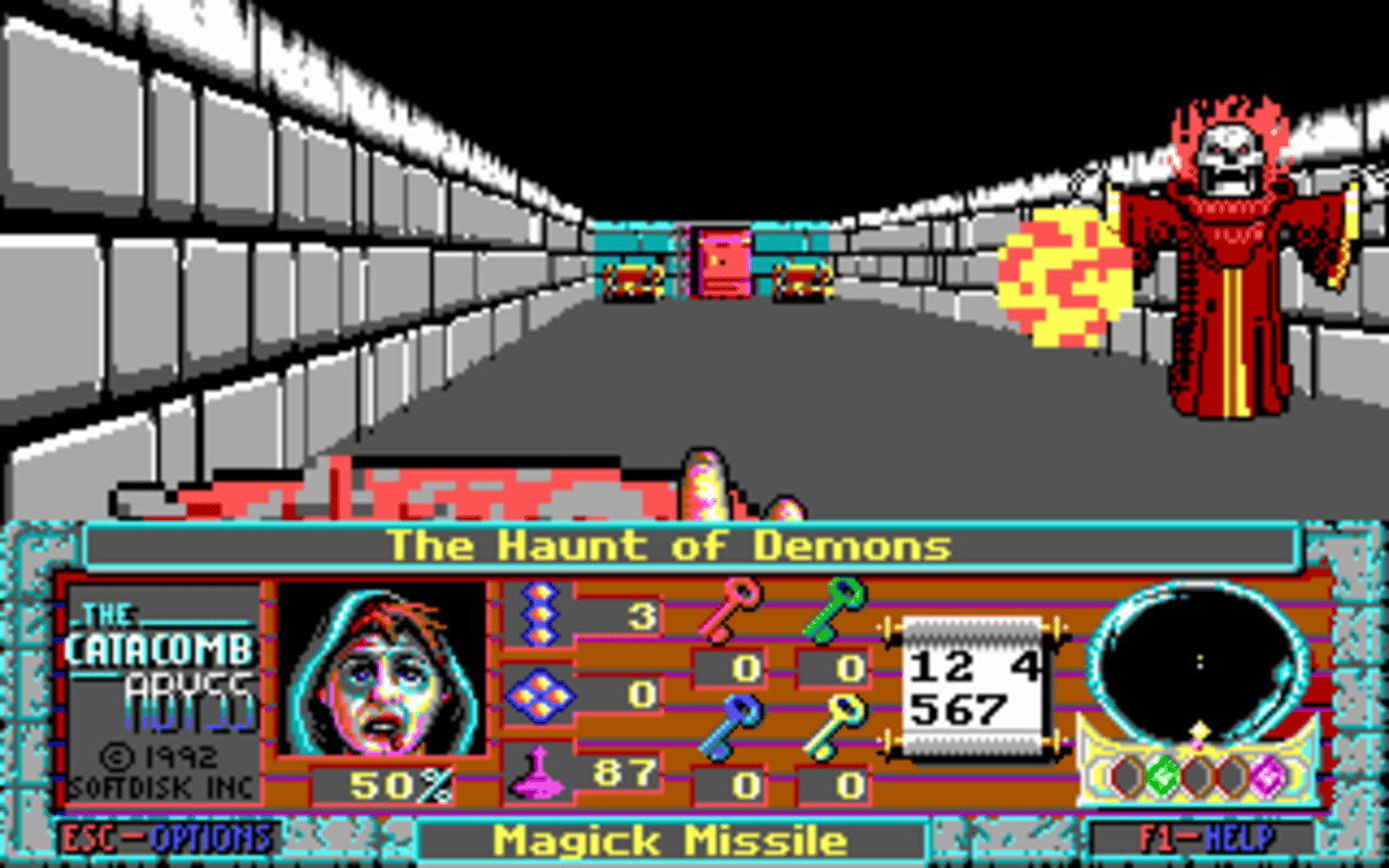 Gameplay screen of The Catacomb Abyss (3/8)