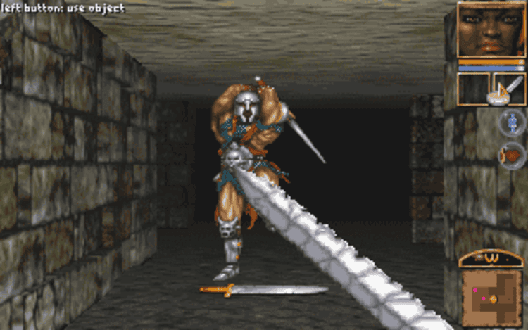 Gameplay screen of Anvil of Dawn (2/8)