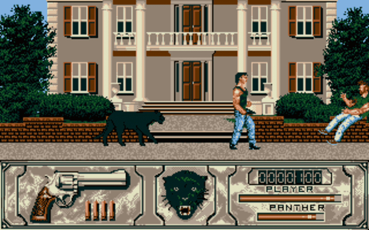 Gameplay screen of Wild Streets (7/8)