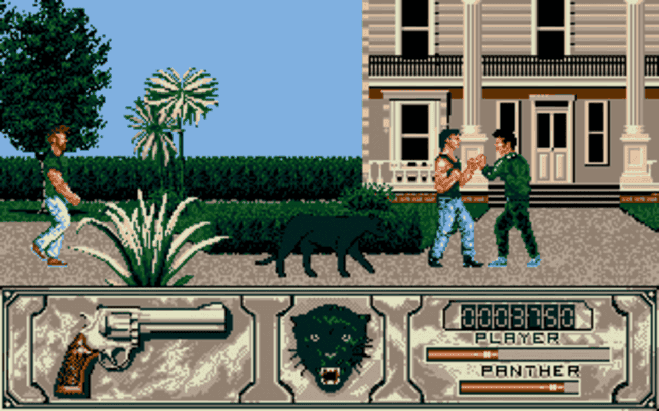 Gameplay screen of Wild Streets (8/8)