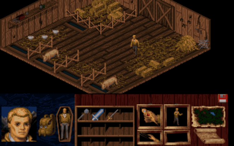 Gameplay screen of Veil of Darkness (8/8)