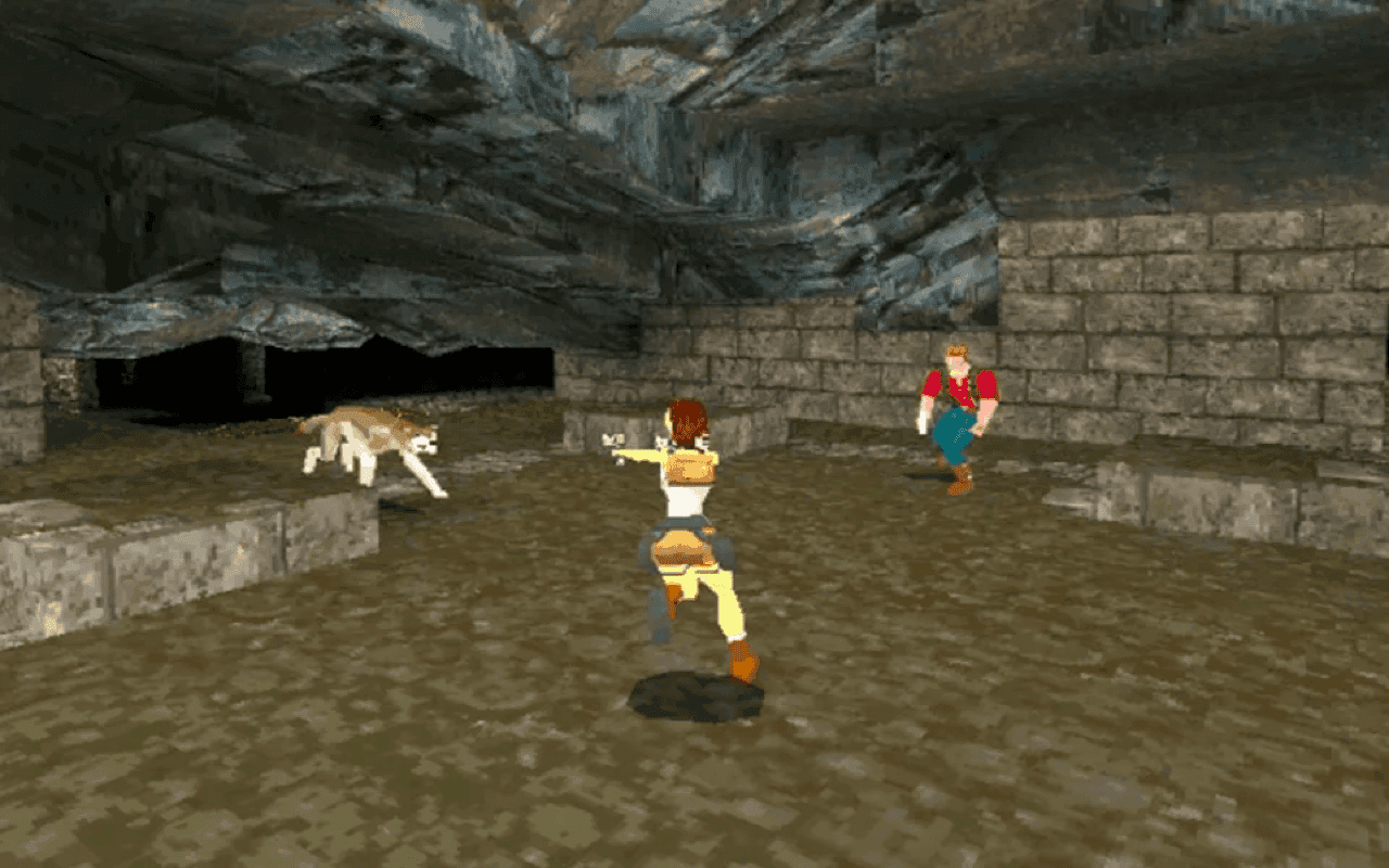 Gameplay screen of Tomb Raider (5/8)