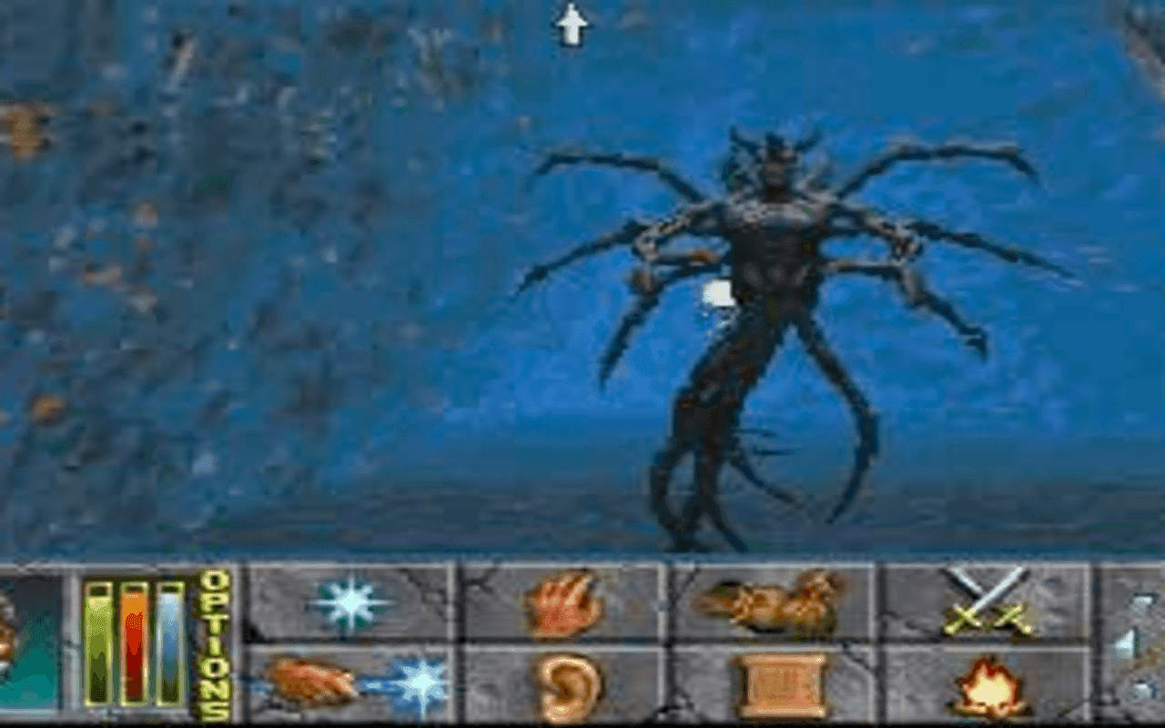 Gameplay screen of The Elder Scrolls - Daggerfall (7/8)