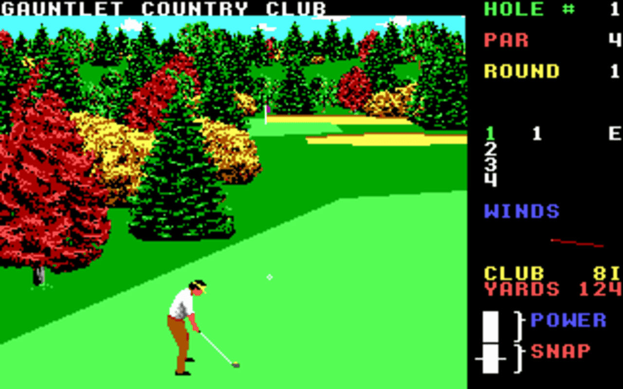 Gameplay screen of World Class Leader Board (5/8) Gameplay screen of World Class Leader Board (5/8)