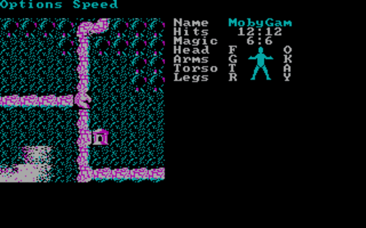 Gameplay screen of Phantasie III: The Wrath of Nikademus (4/4) Gameplay screen of Phantasie III: The Wrath of Nikademus (4/4)