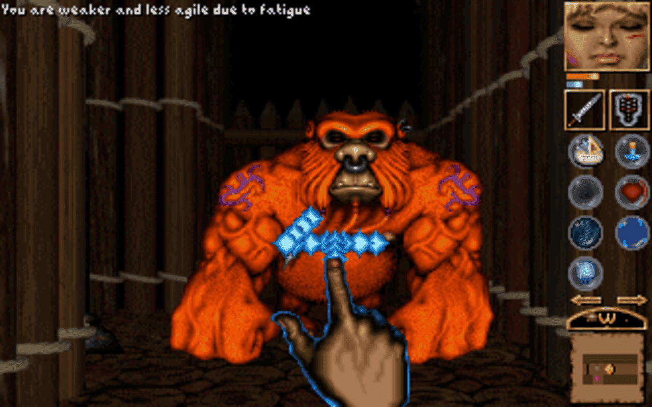 Gameplay screen of Anvil of Dawn (7/8) Gameplay screen of Anvil of Dawn (7/8)